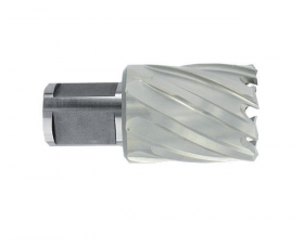 Carota HSS cu prindere Weldon (3/4") lungime 30 mm, dimensiune 12.0